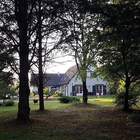 Le Clos Des Ecureuils Vouzon Exteriör bild