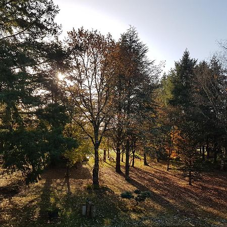 Le Clos Des Ecureuils Vouzon Exteriör bild