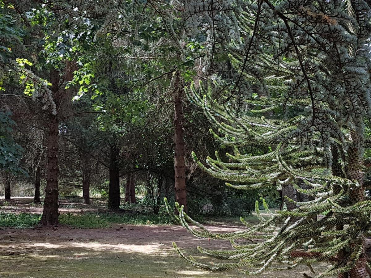 Le Clos Des Ecureuils Vouzon Exteriör bild