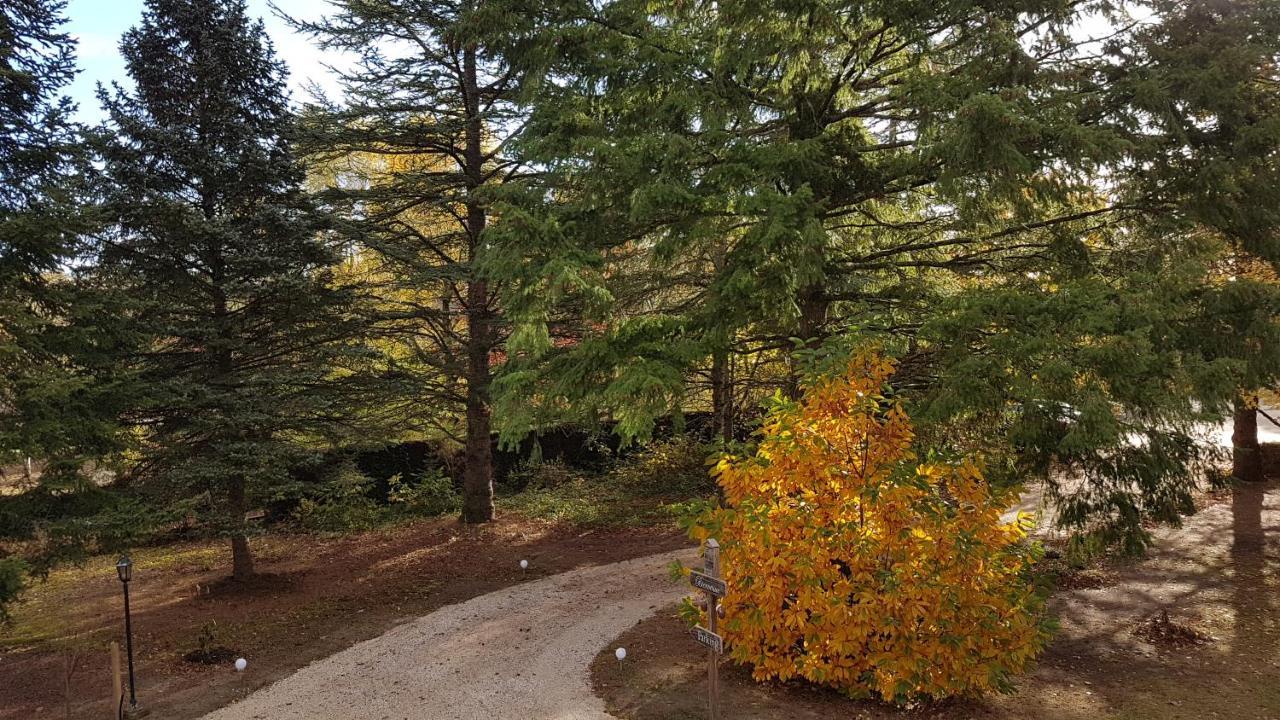 Le Clos Des Ecureuils Vouzon Exteriör bild