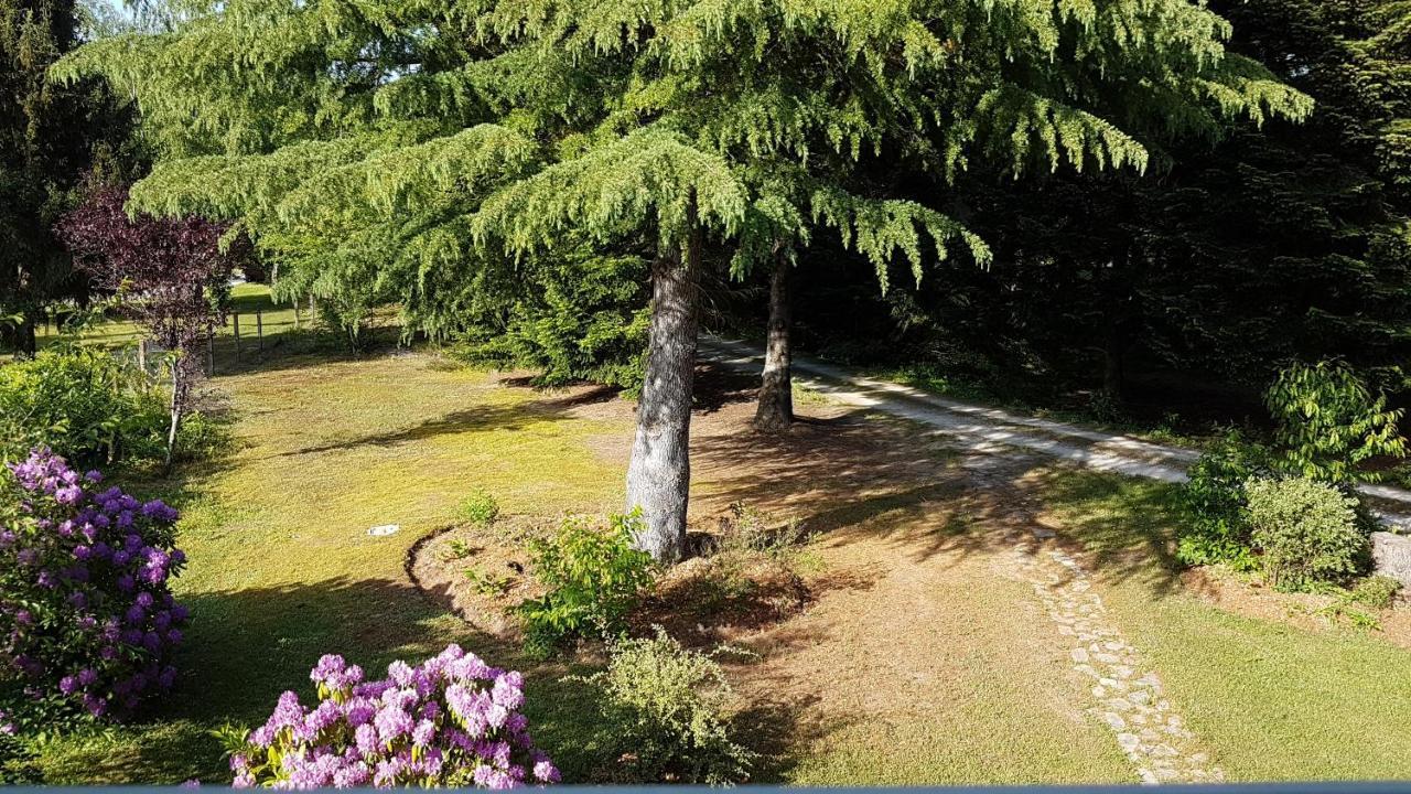 Le Clos Des Ecureuils Vouzon Exteriör bild