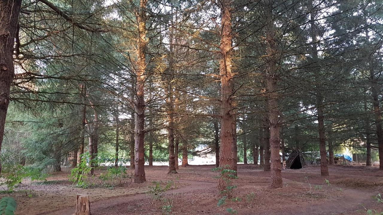 Le Clos Des Ecureuils Vouzon Exteriör bild