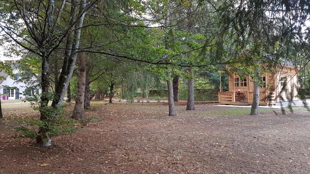 Le Clos Des Ecureuils Vouzon Exteriör bild