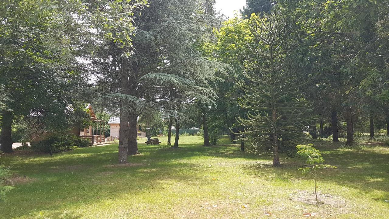 Le Clos Des Ecureuils Vouzon Exteriör bild