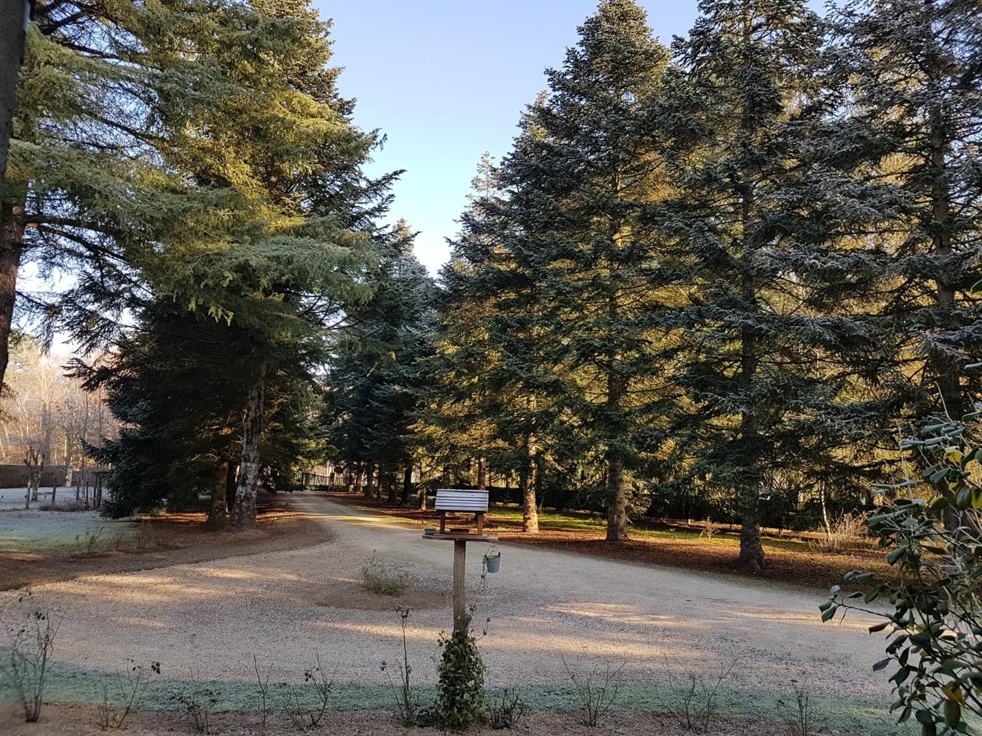 Le Clos Des Ecureuils Vouzon Exteriör bild