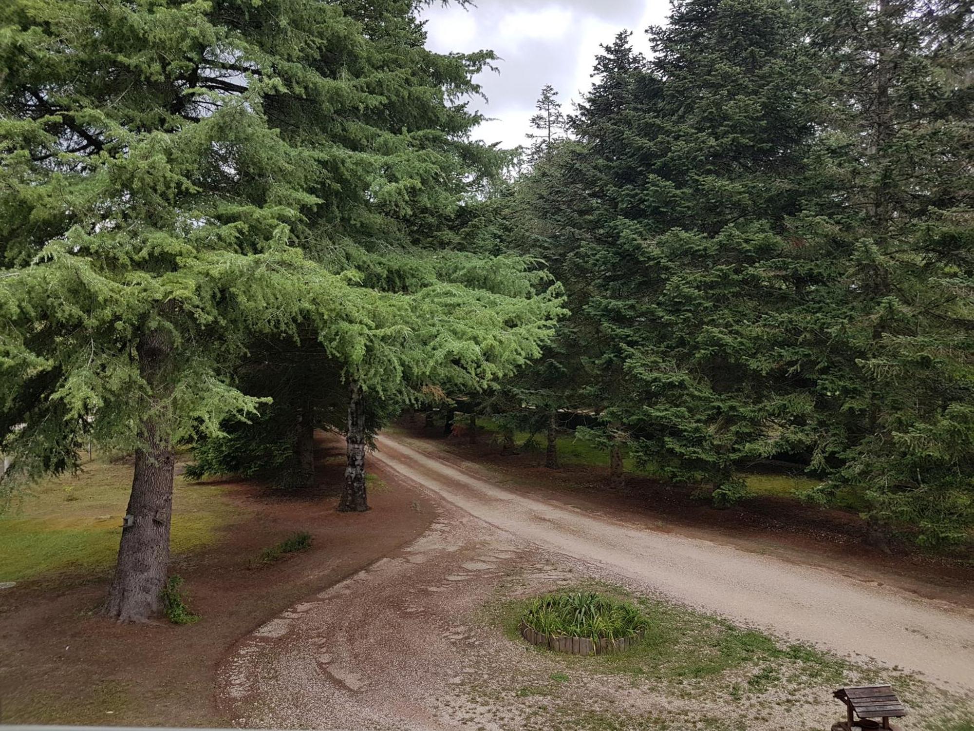 Le Clos Des Ecureuils Vouzon Exteriör bild
