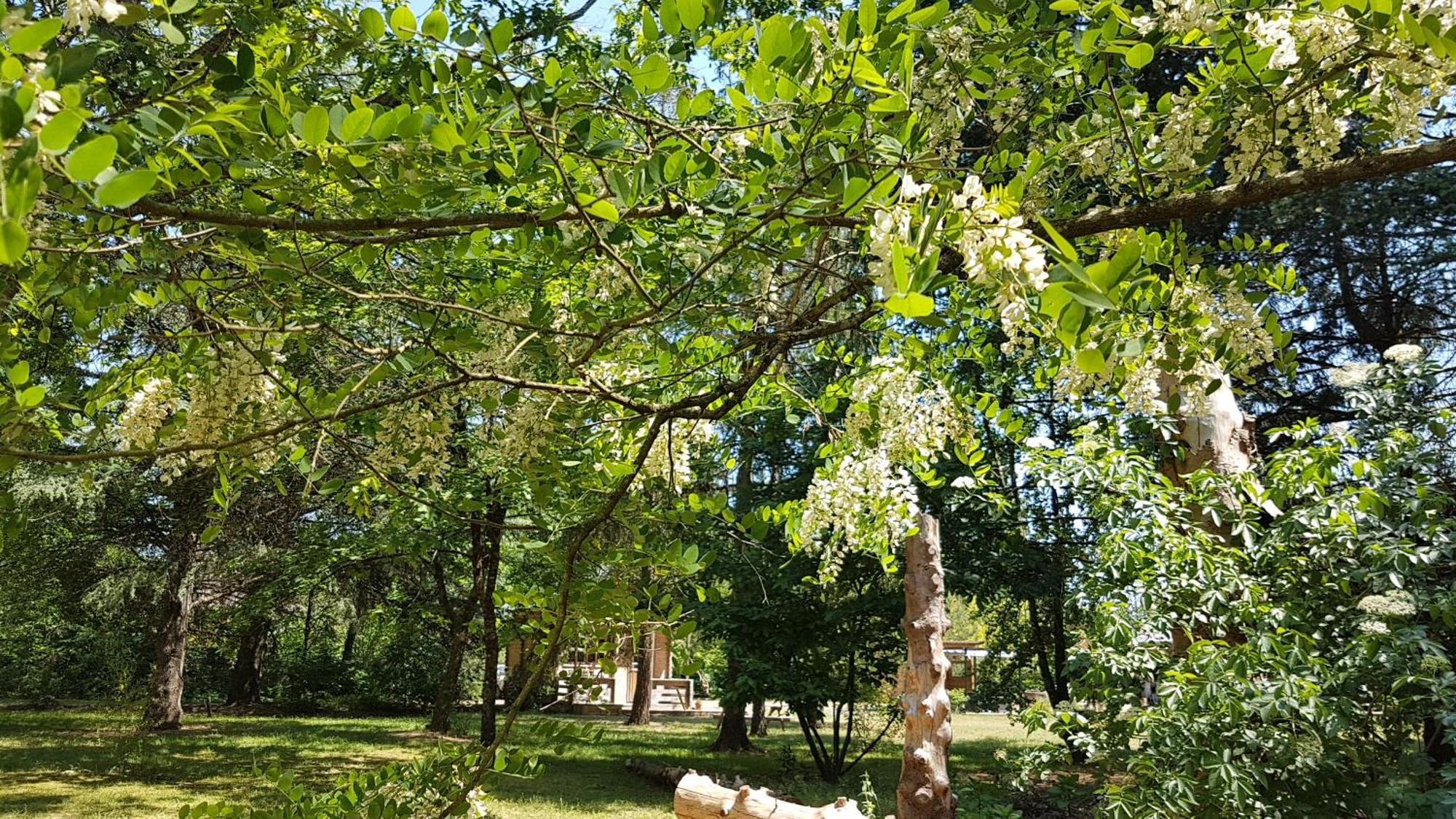 Le Clos Des Ecureuils Vouzon Exteriör bild