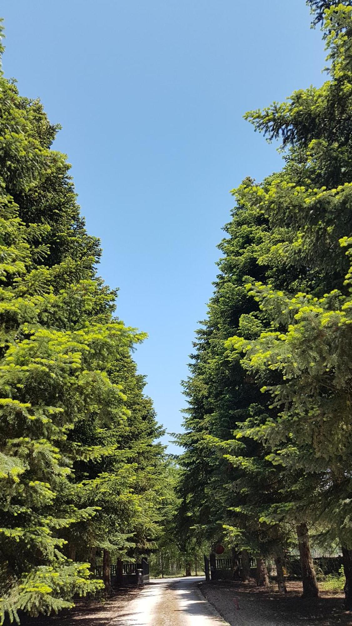 Le Clos Des Ecureuils Vouzon Exteriör bild